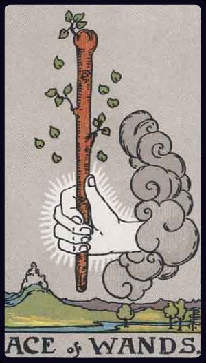 Ý nghĩa lá bài Át Gậy (Ace of Wands) trong Tarot